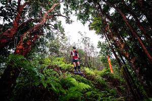 BIB: 
                            <button type="button" onclick="openModal(26201712)" class="btn btn-primary btn-sm float-right btn-popup" data-toggle="modal" data-target=".modal-high-quality">
                        <i class="fas fa-shopping-cart"></i> Add to Cart
                    </button>
                                            <button type="button" onclick="isThisMe(26201712, true)" class="btn btn-success btn-sm float-right btn-popup btn-isme hidden" data-toggle="tooltip" data-placement="bottom" title="นี่คือรูปของคุณใช่ไหม คลิกที่นี่เพื่อเอาเข้าอัลบั้ม">
                        <i class="fas fa-plus"></i> Add to album
                    </button>
                    <button type="button" onclick="isThisMe(26201712, false)" class="btn btn-warning btn-sm float-right btn-popup btn-isnotme hidden">
                        <i class="fas fa-ban"></i> Remove from album
                    </button>